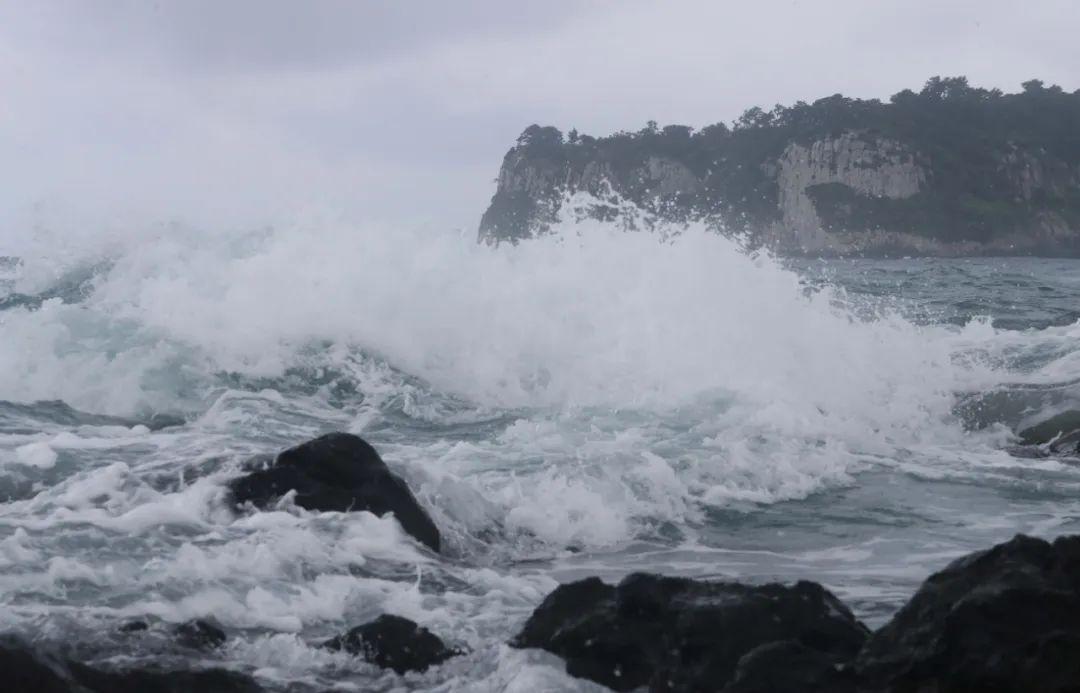 浙江三地已宣布停课一天