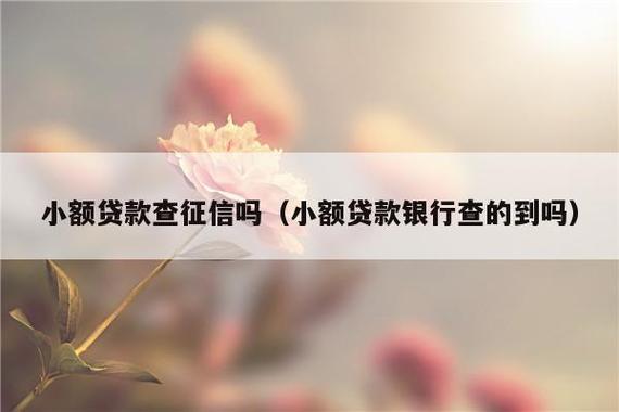 无征信小额贷款app，谁适合申请？