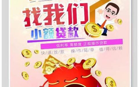 信贷小额贷款公司：为小微企业和个人提供信贷支持